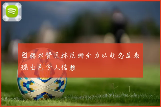 图赫尔赞贝林厄姆全力以赴态度表现出色令人信赖